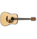 IBANEZ AW500 NT AKUSTIČNA KITARA